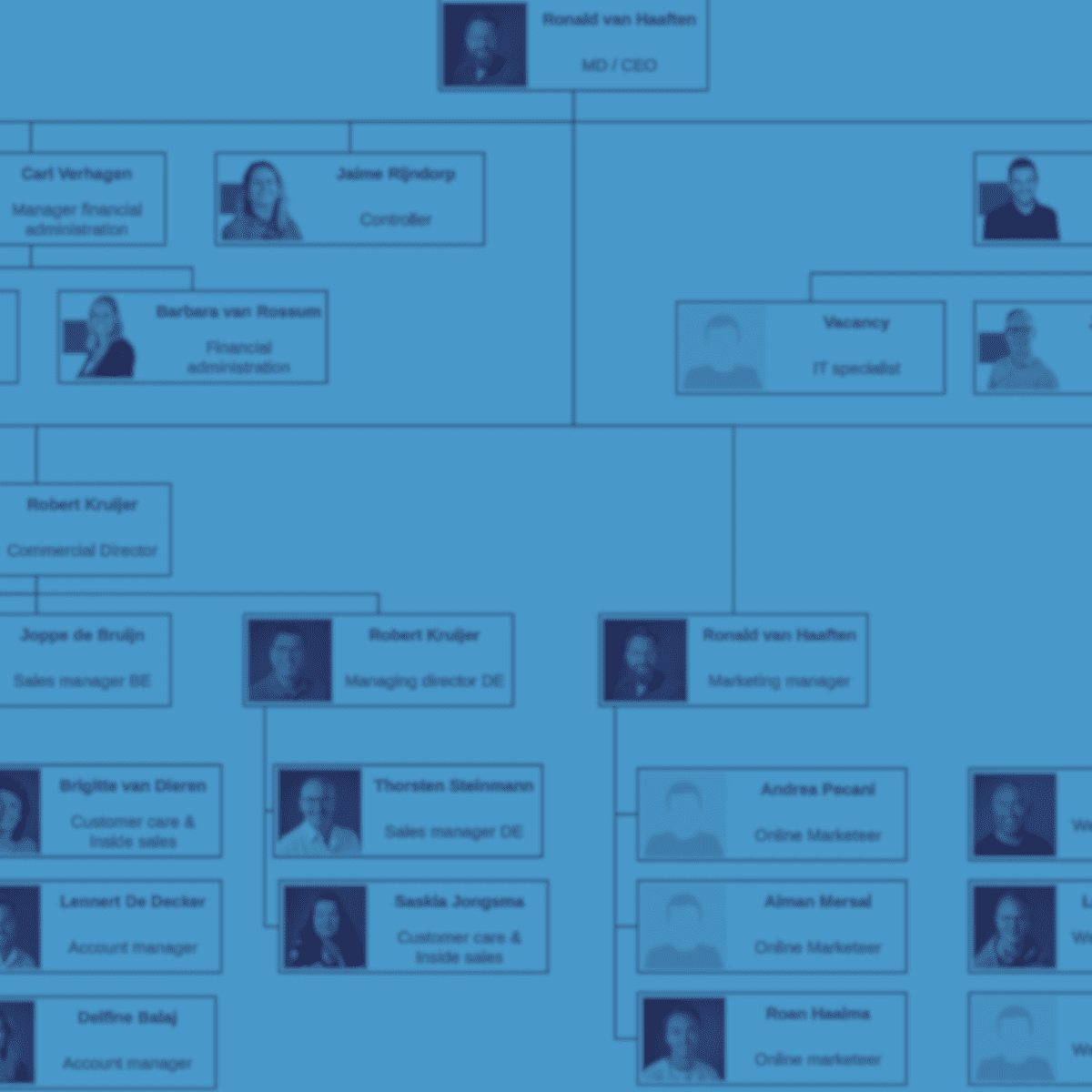 Organization chart
